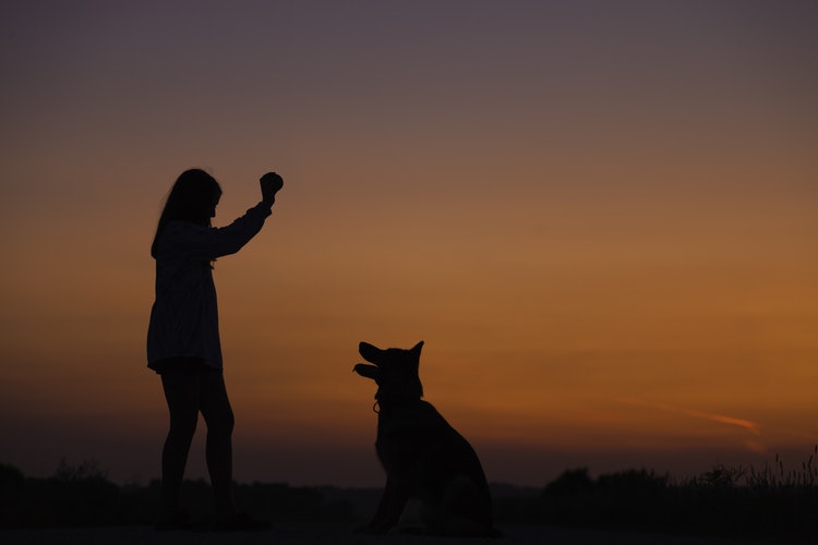 dog-vs-owner-lovely-moment