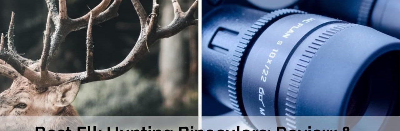 Best binoculars for elk hunting