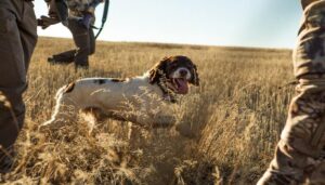 big and tall upland hunting pants